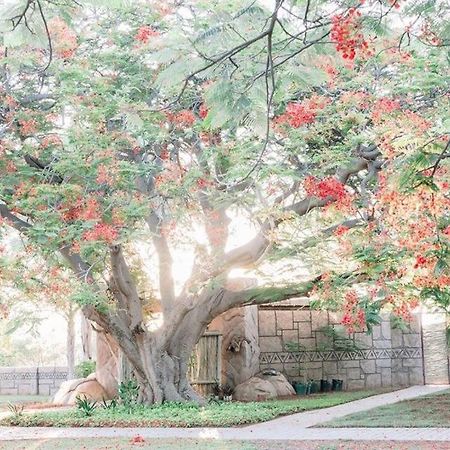 Tshukudiba Game Lodge Tom Burke Exterior foto
